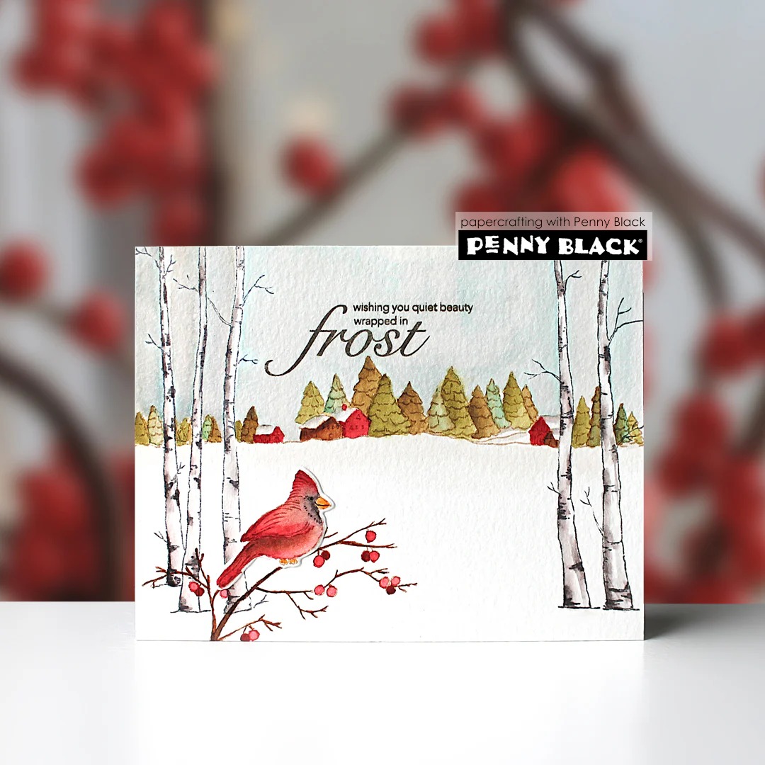 Timbri in silicone trasparente - Photography Triangle recensione e prezzo