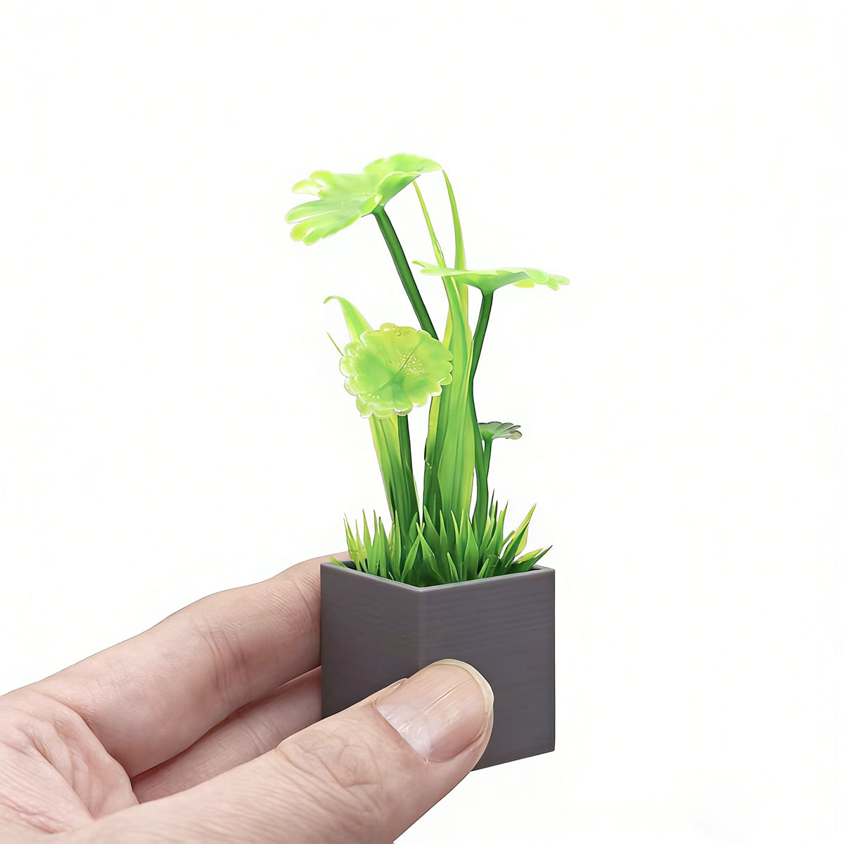 Accessori per Case delle Bambo - Photography Model recensione e prezzo