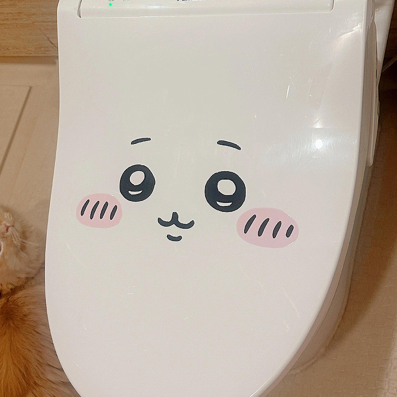 Adesivo emoticon Jiyi per la d - Photography Interior recensione e prezzo